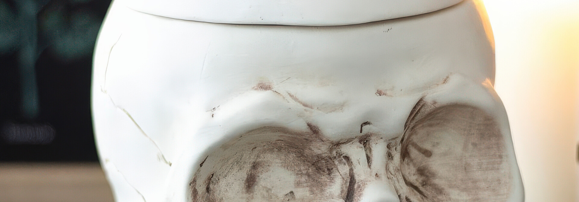 Weathered Skull Ceramic Oil Burner