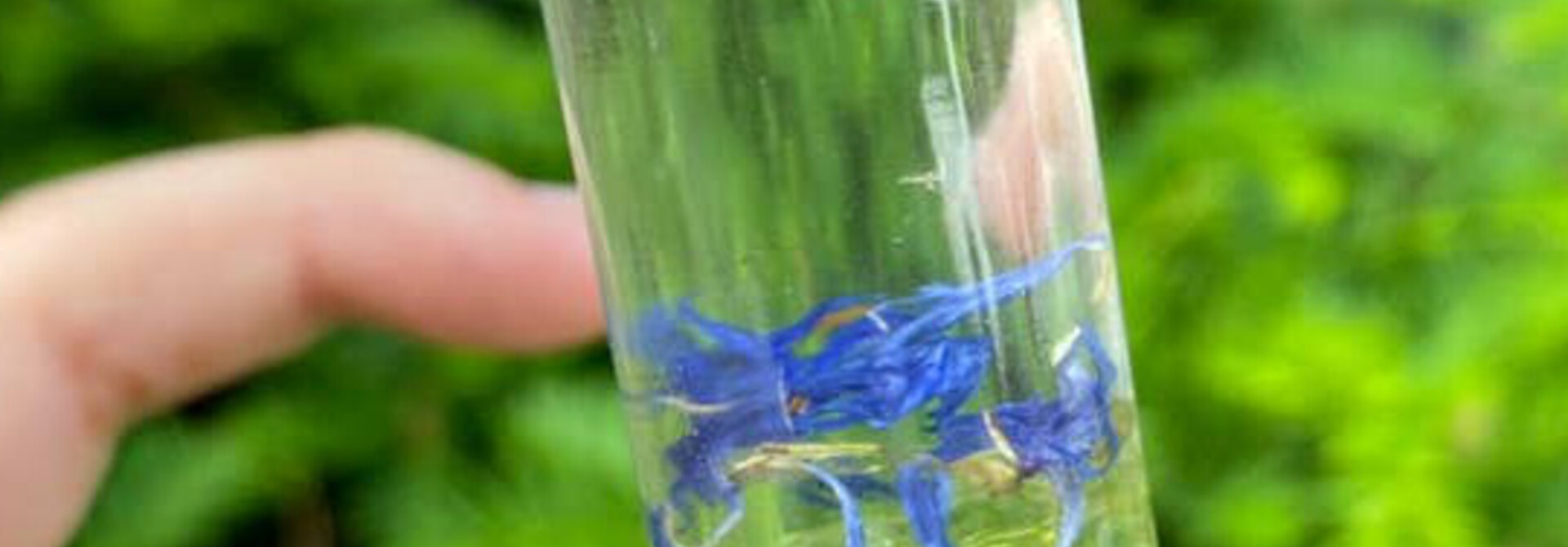 Edelsteen Parfum Roller PERIDOT