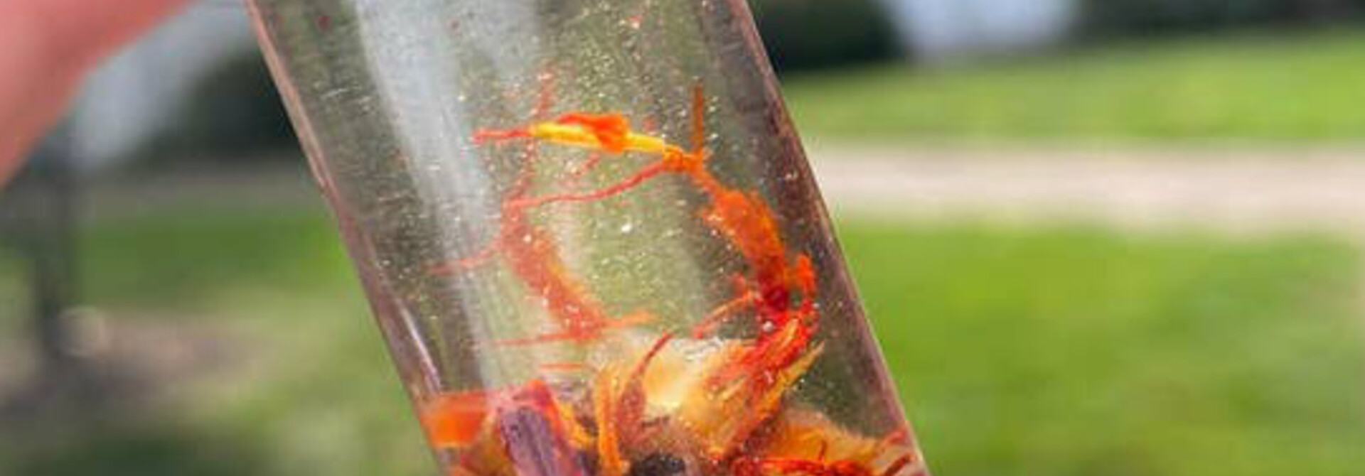 Gemstone Perfume Roller CARNELIAN