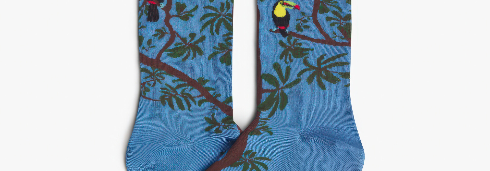 ♣ Pura Vida Rainbow Toucan Socks