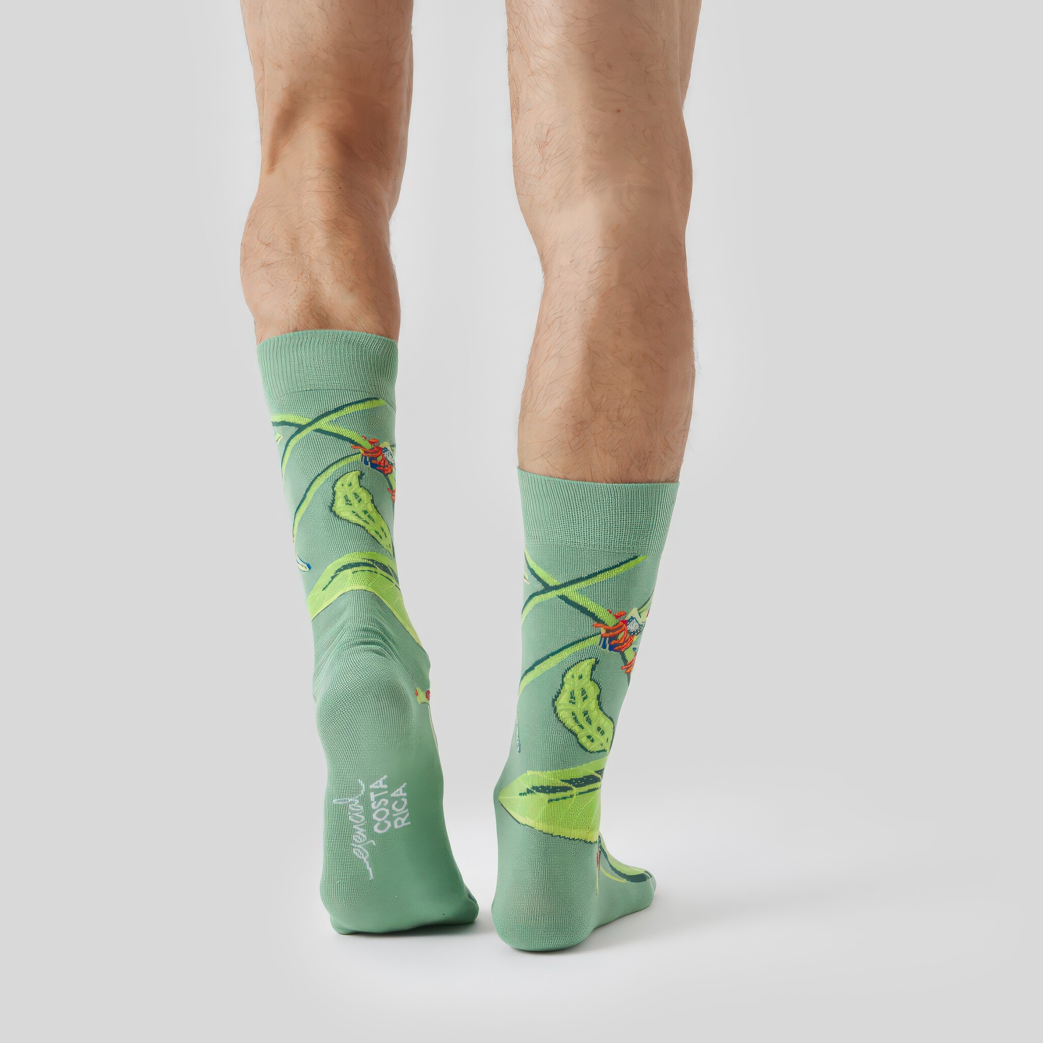 ♣ Green Pura Vida Red-Eyed Tree Frog Socks-4