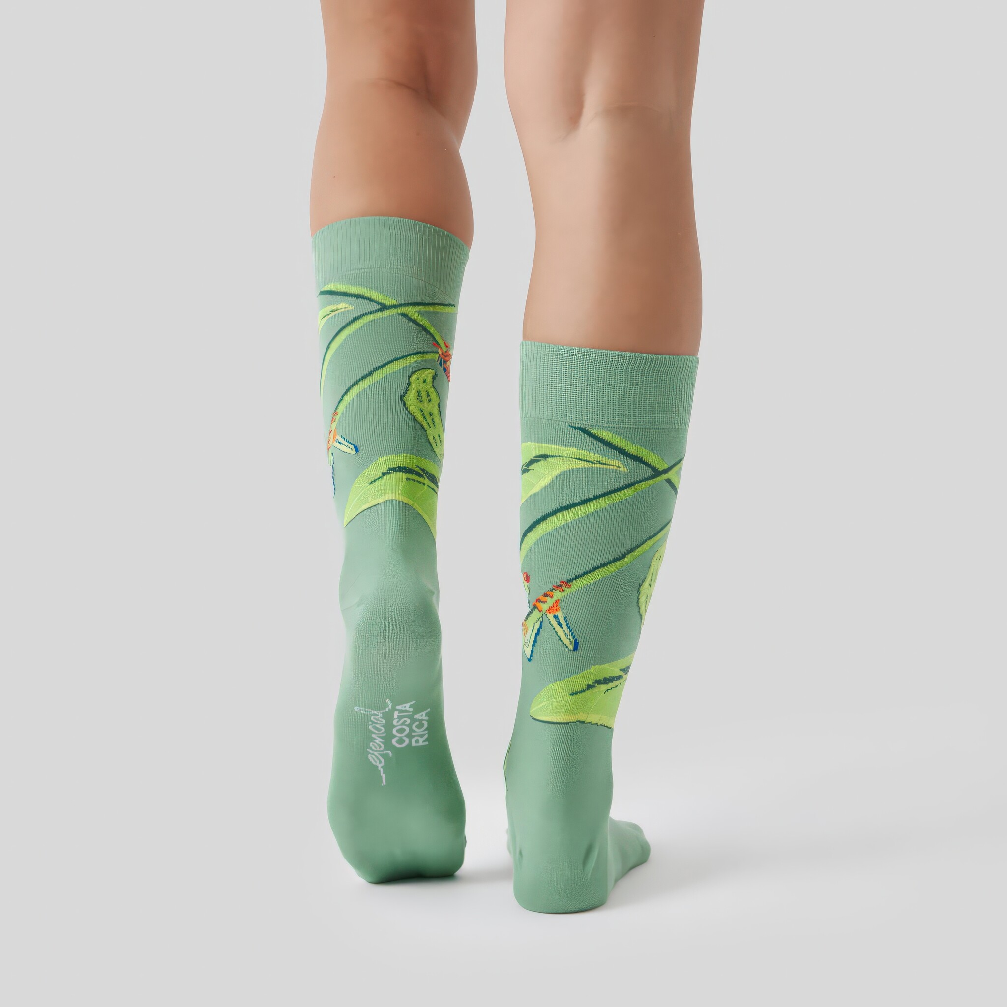 ♣ Green Pura Vida Red-Eyed Tree Frog Socks-5