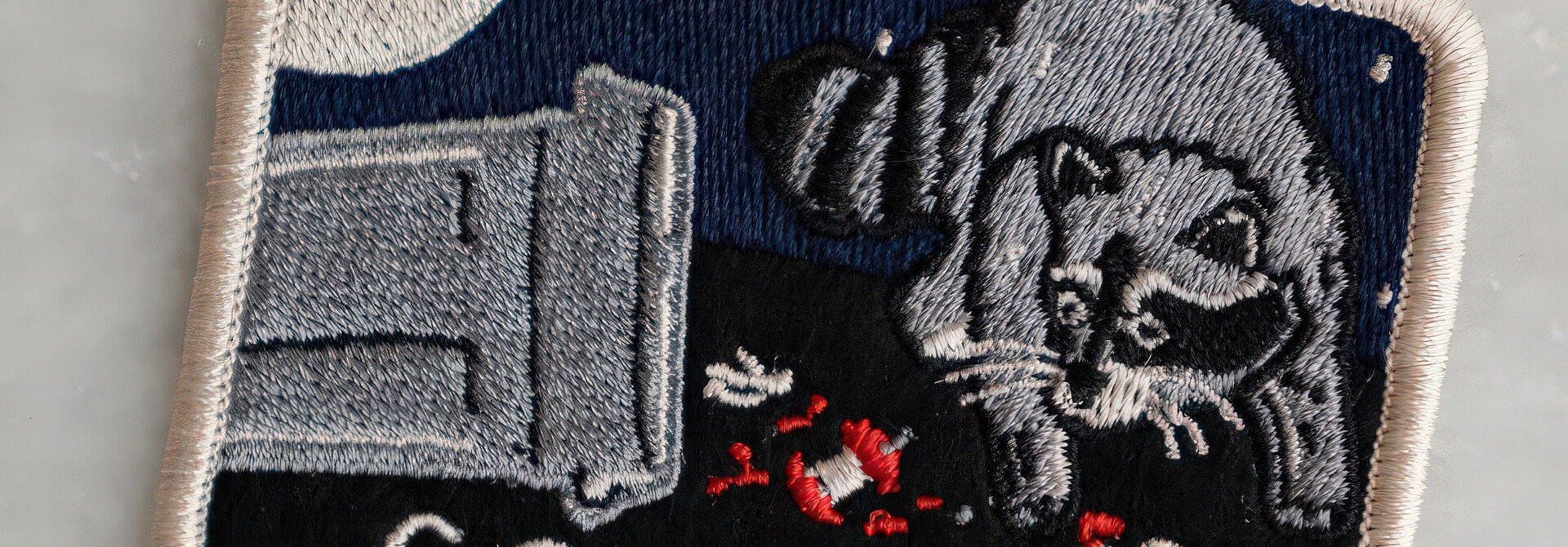 Scrappy Raccoon (Trash) Patch