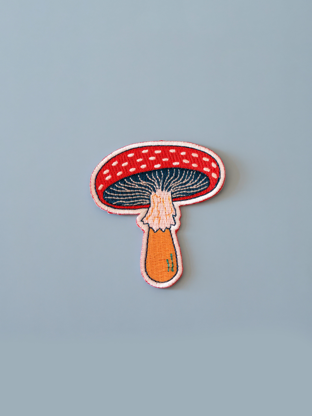 Mushroom Patch-1