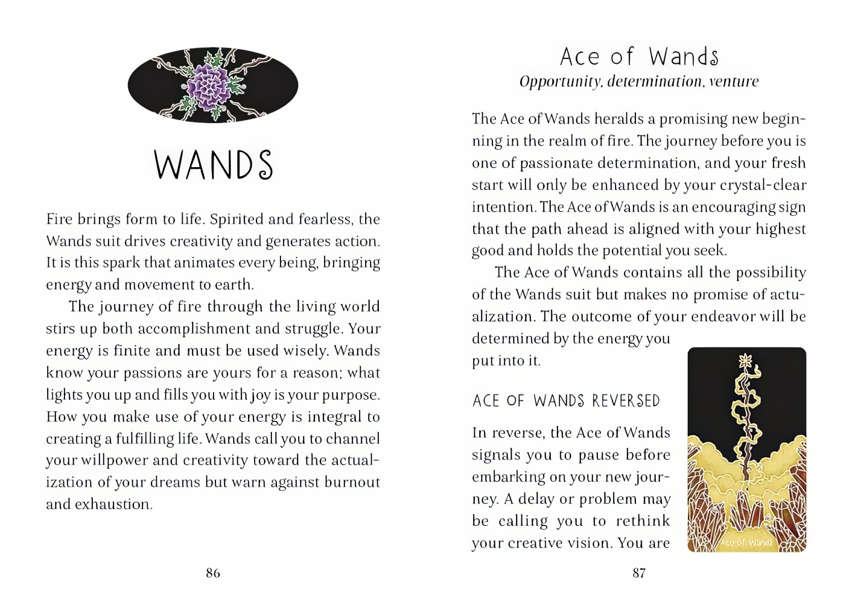 The Animystic Tarot Deck-12