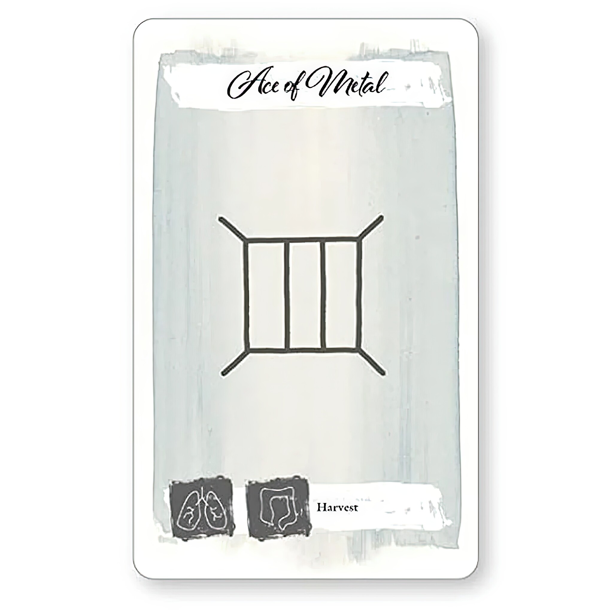 The Body Tarot-6