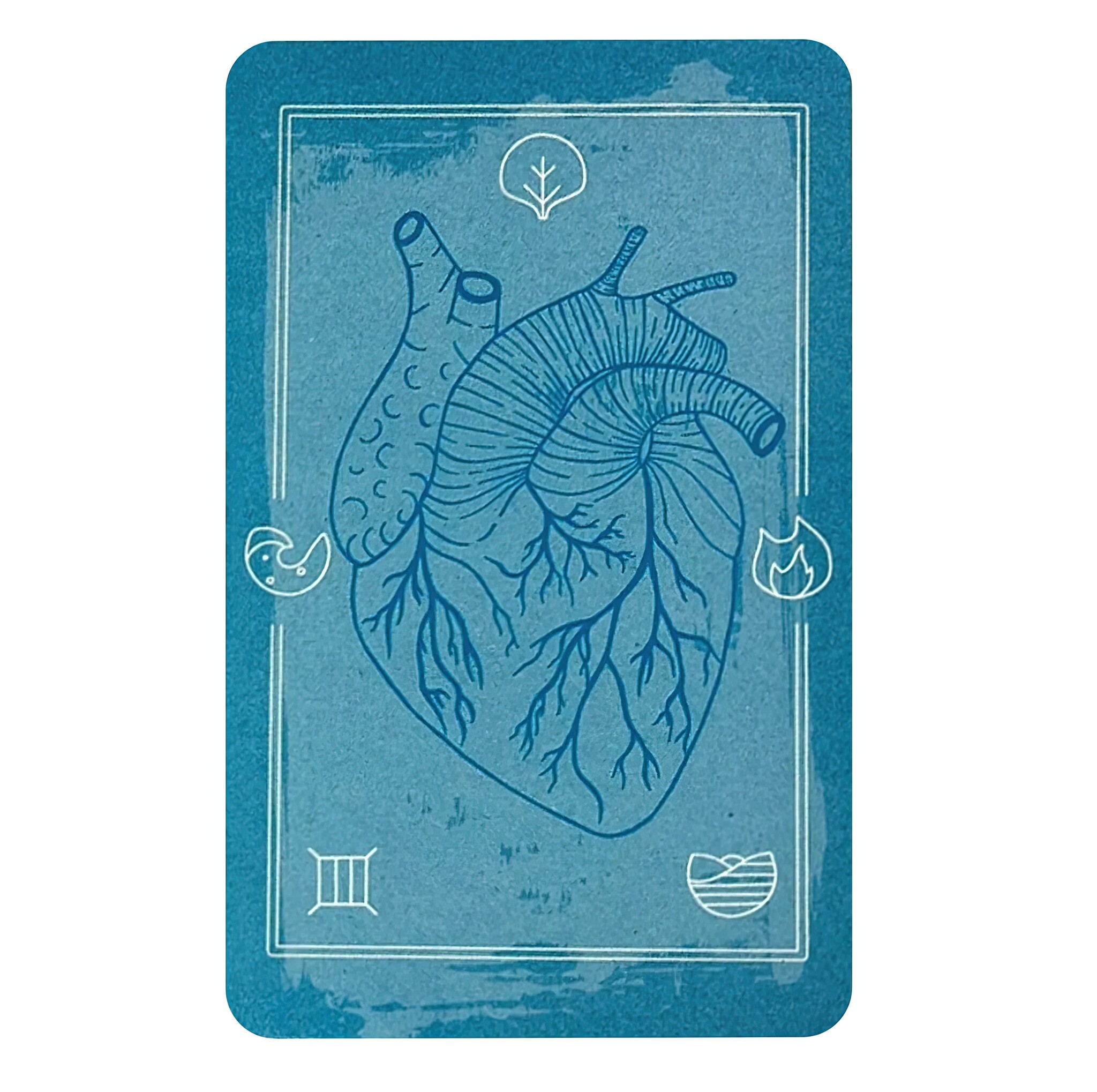 The Body Tarot-7