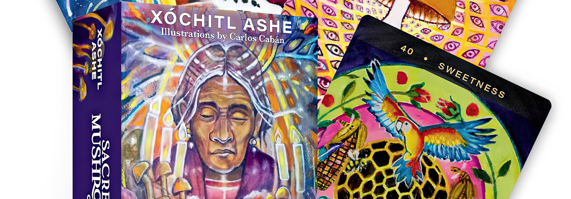 Sacred Mushroom Oracle Deck