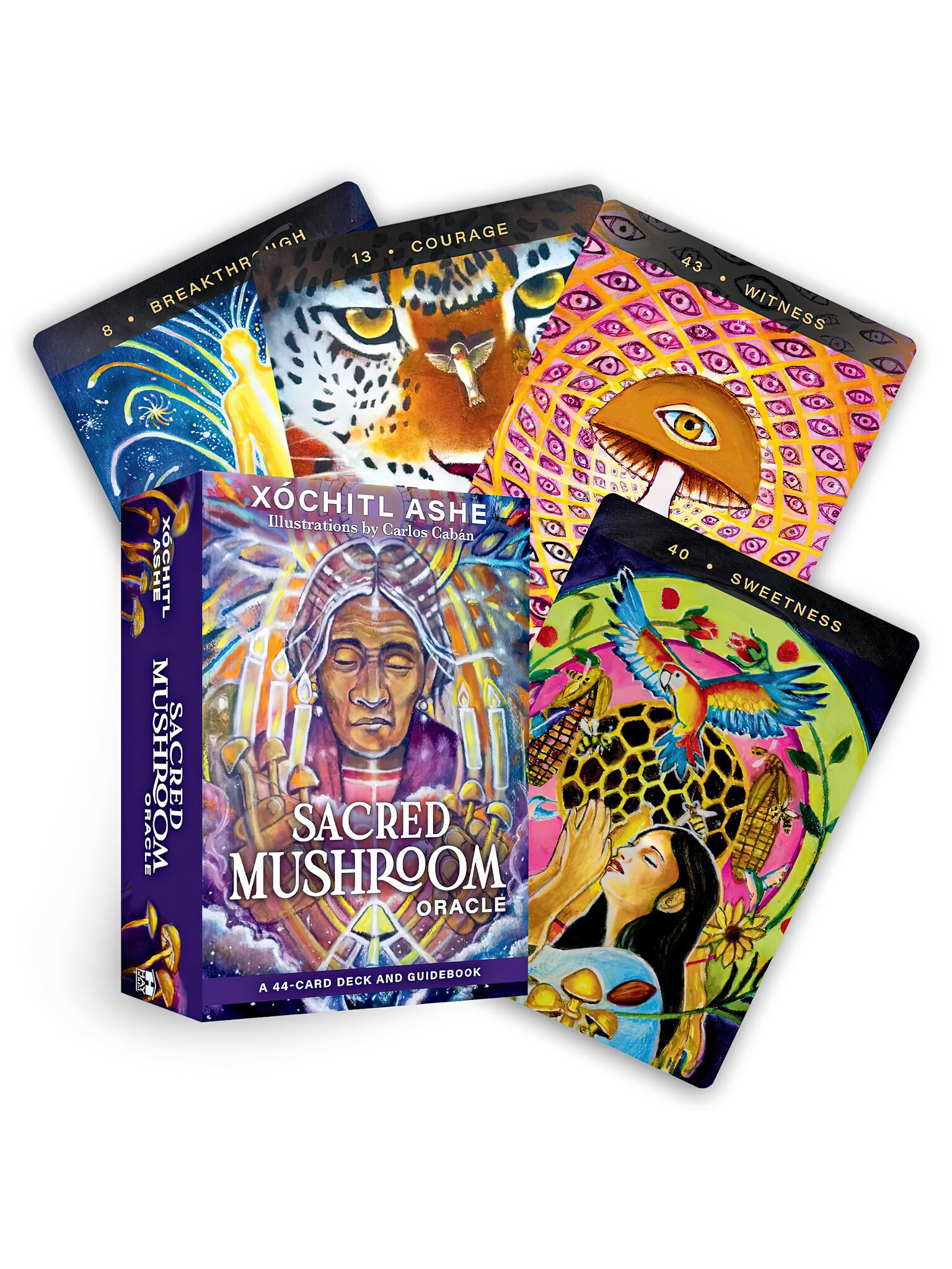 Sacred Mushroom Oracle Deck-1
