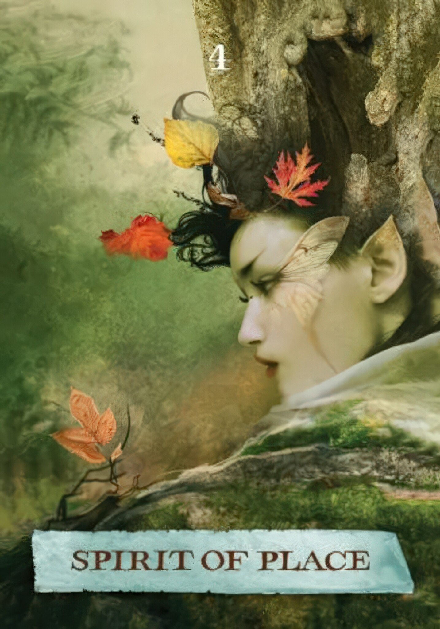 The Enchanted Map Oracle Deck-8