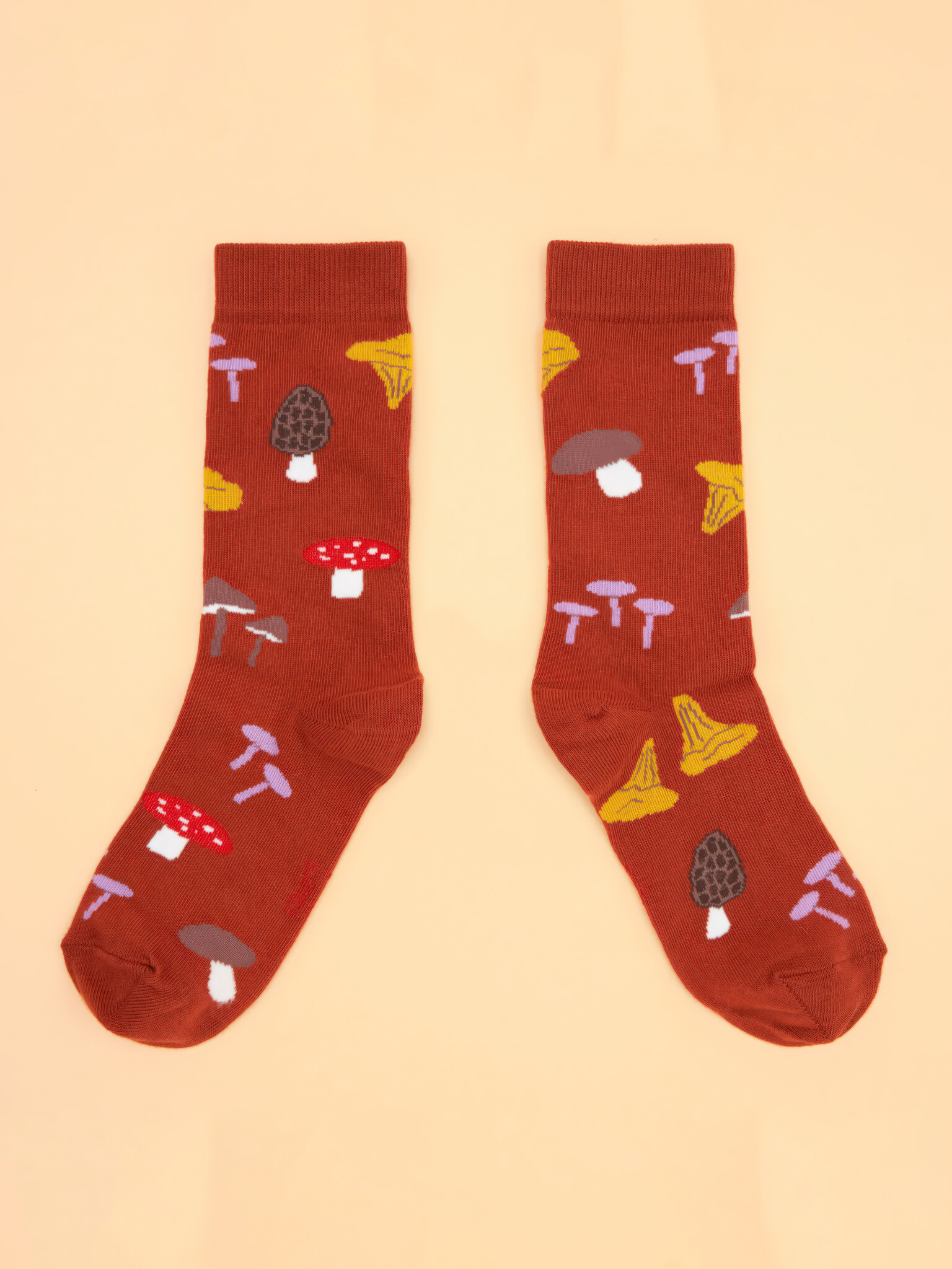 ♣ Mushrooms Picking Socks-1