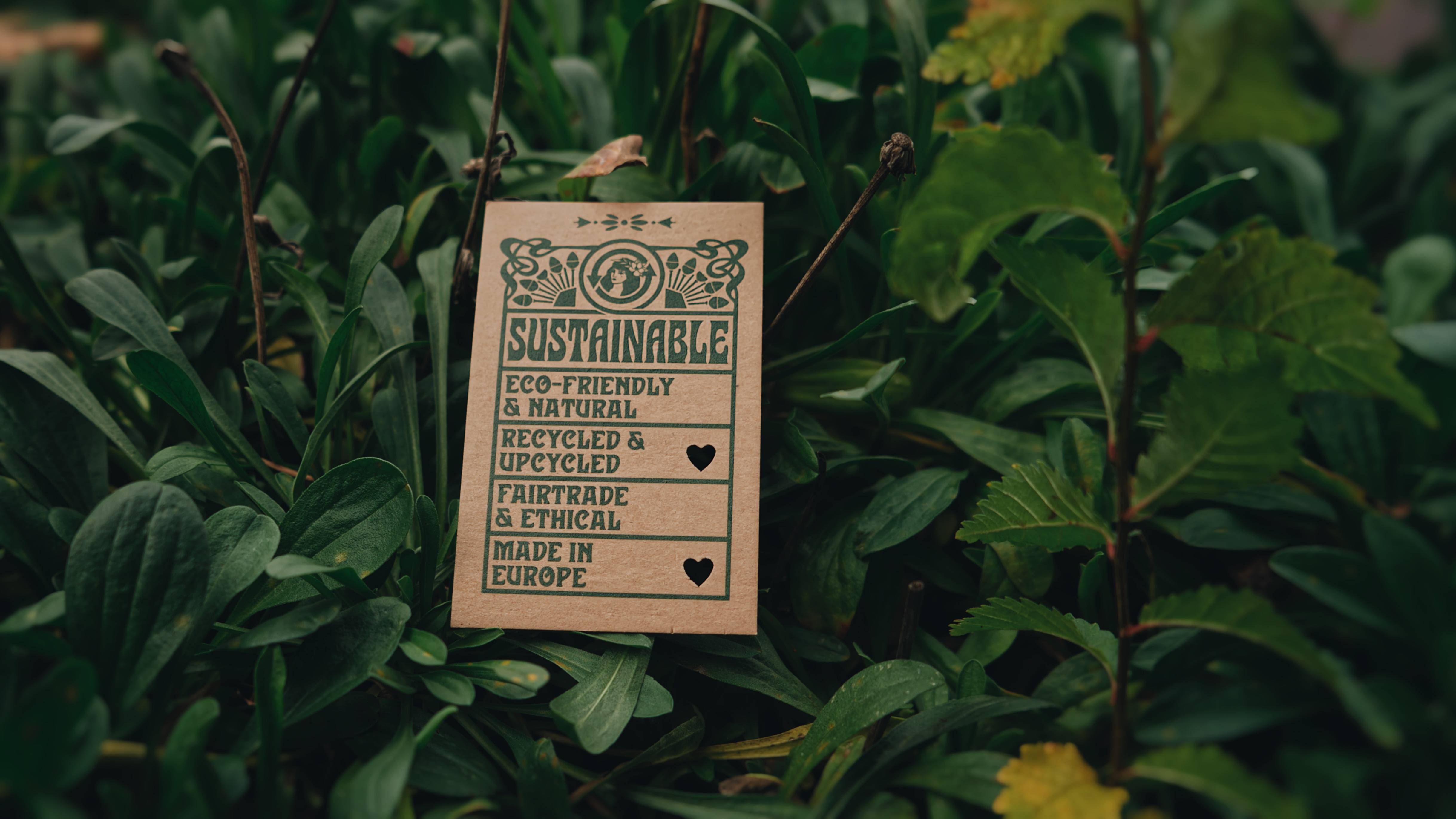 SUSTAINABILITY ♣-1