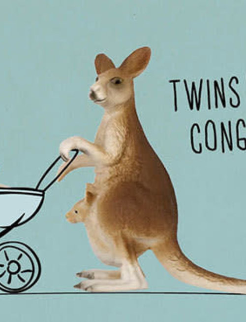 Leuke Kaartjes Leuke Kaartjes "Twins Congrats!"