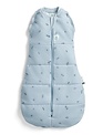 ErgoPouch ErgoPouch Inbakerslaapzak Dragonfly 0-3m 2.5 Tog