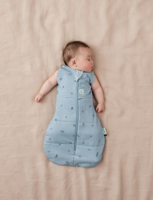 ErgoPouch ErgoPouch Inbakerslaapzak Dragonfly 0-3m 2.5 Tog