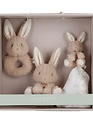 Little Dutch Little Dutch Giftset Baby Bunny