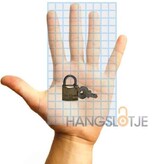 Tri-Circle Hangsloten gelijksluitend 20mm