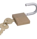 Masterlock Hardstalen Bügel 22mm - diameter 6mm