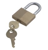 Masterlock Hardstalen Bügel 22mm - diameter 6mm
