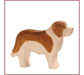 Ostheimer Sint Bernards hond
