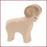 Ostheimer Ram wit Ostheimer Ram wit