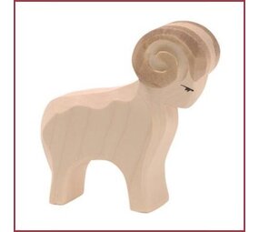 Ostheimer Ram wit Ostheimer Ram wit
