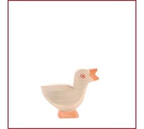 Ostheimer Ganzenkuiken, kop omhoog Ostheimer Ganzenkuiken, kop omhoog