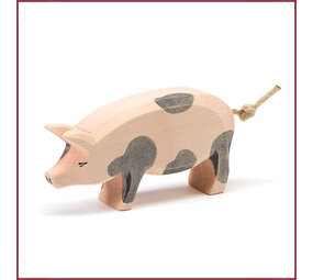 Ostheimer Gevlekt  varken, kop hoog