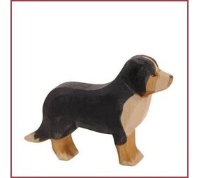 Ostheimer Berner Sennenhond Ostheimer Berner Sennenhond