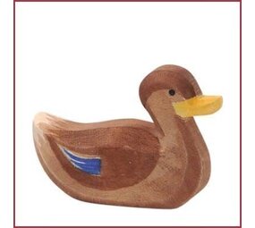 Ostheimer Zwemmende eend Ostheimer Zwemmende eend