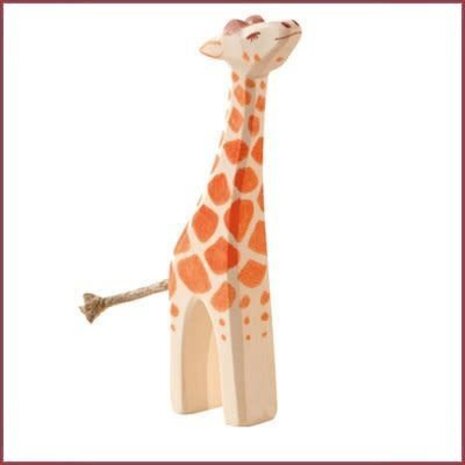 Ostheimer Kleine giraffe met kop omhoog