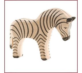 Ostheimer Zebra Ostheimer Zebra