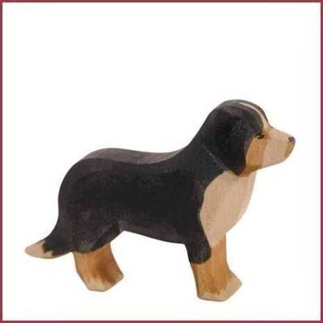 Ostheimer Berner Sennenhond