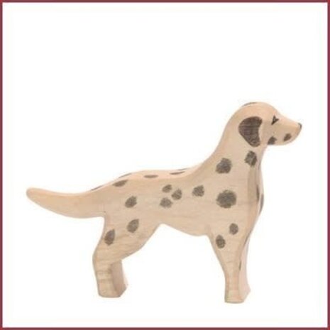 Ostheimer Dalmatiër