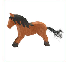 Ostheimer Koudbloed paard Ostheimer Koudbloed paard