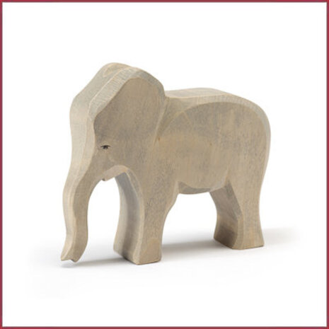 Ostheimer Olifant Vrouwtje