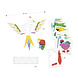Djeco Vouwen 3D poster - paradijsvogel Djeco Vouwen 3D poster - paradijsvogel