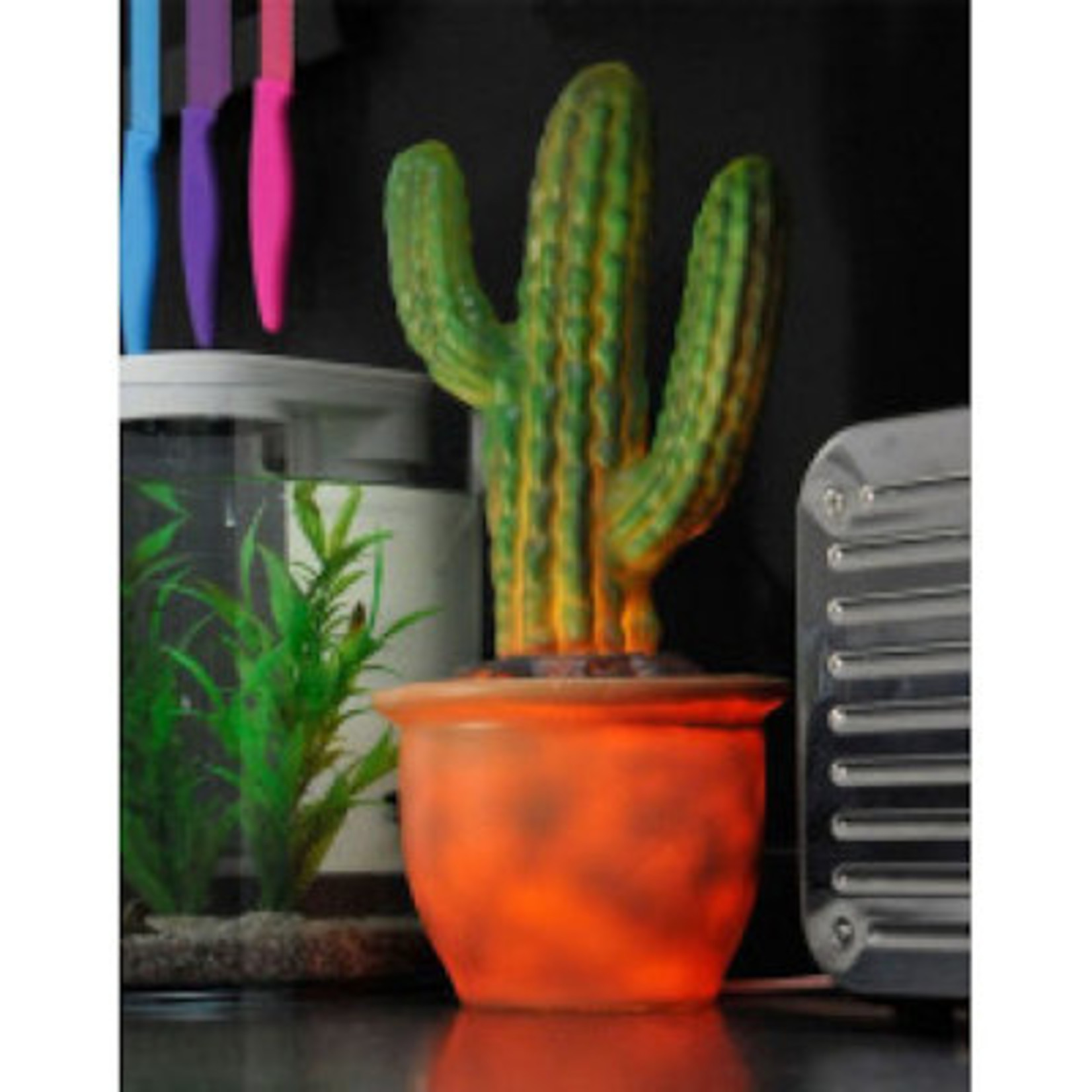 Cactus in pot Lamp LED western model