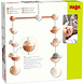 Haba Mobiel Stipjes Babykamer Haba Mobiel Stipjes Babykamer
