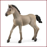 Schleich Criollo Definitivo veulen Schleich Criollo Definitivo veulen