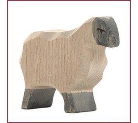 Ostheimer Moorland schaap Ostheimer Moorland schaap