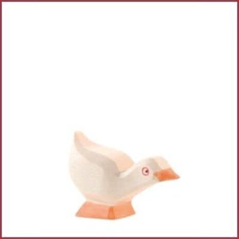 Ostheimer Ganzenkuiken, kop omlaag Ostheimer Ganzenkuiken, kop omlaag