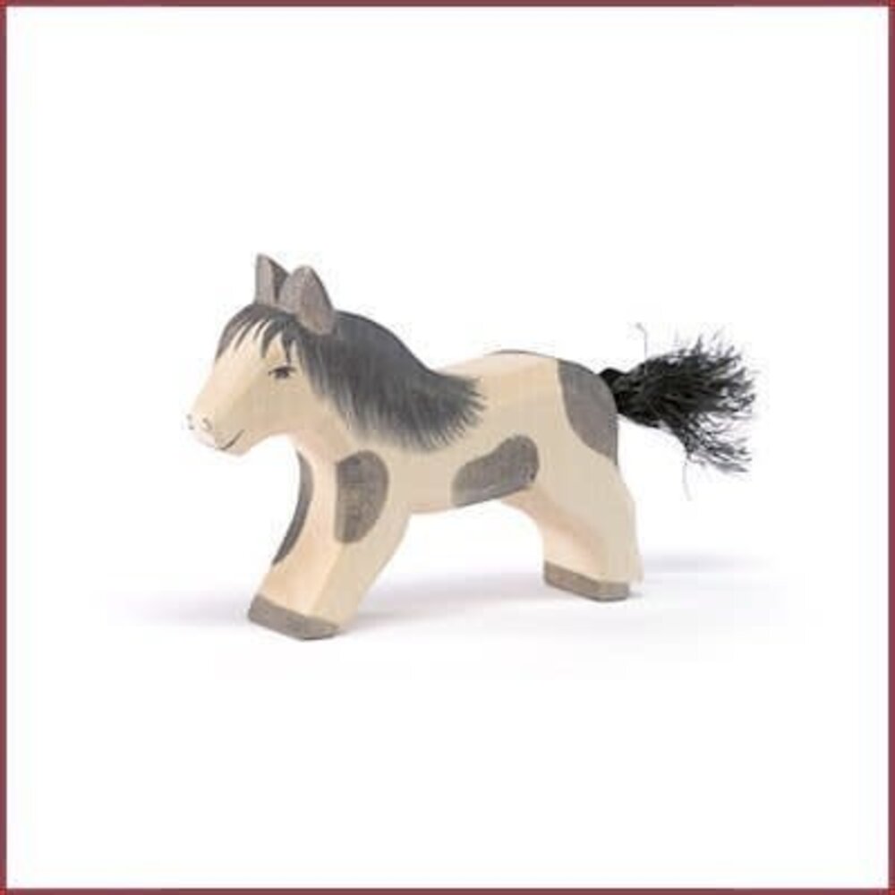 Ostheimer Lopende Shetlandpony Ostheimer Lopende Shetlandpony