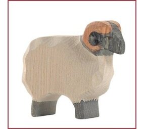 Ostheimer Moorland ram