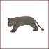 Zwarte Panter Zwarte Panter