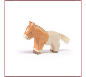 Ostheimer Shetland veulen