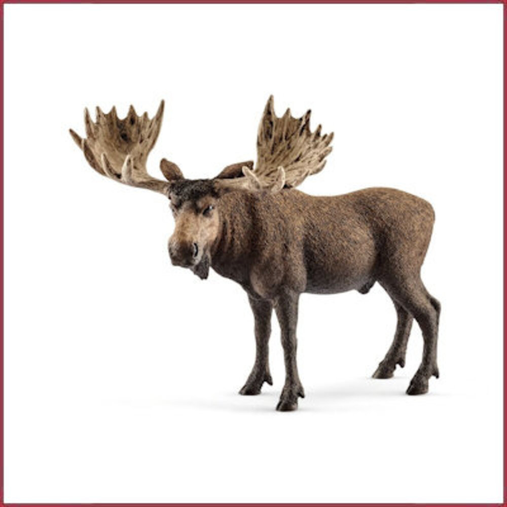 Schleich Eland stier Schleich Eland stier