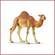 Schleich Dromedaris Schleich Dromedaris