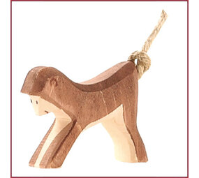 Ostheimer Aapje Ostheimer Aapje