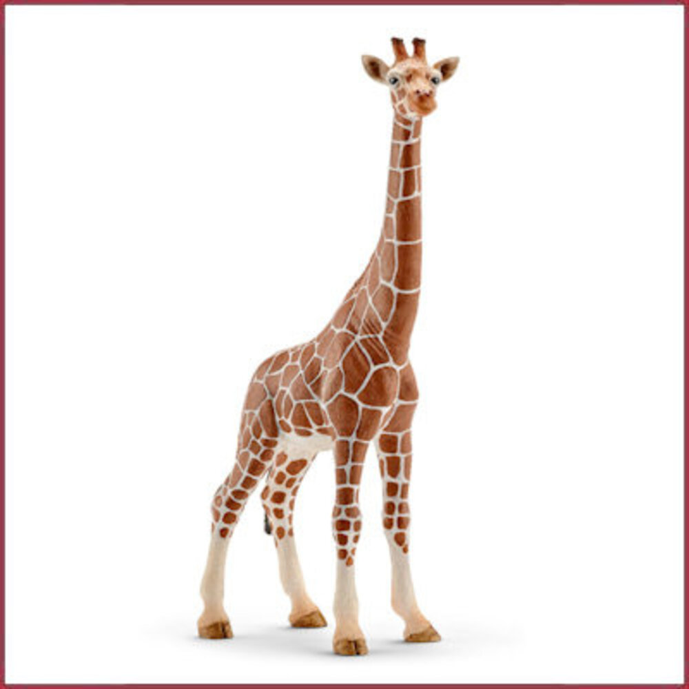 Schleich Giraffe vrouwtje